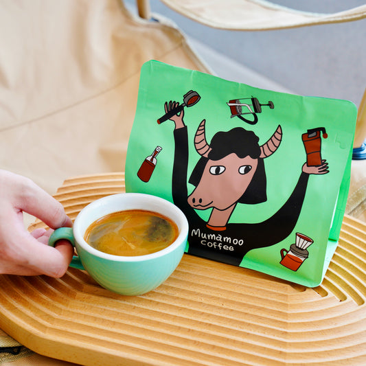 Ethiopian Gesha Blend – Light, Lively & Elegant