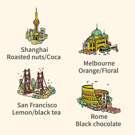 World Tour Drip Coffee