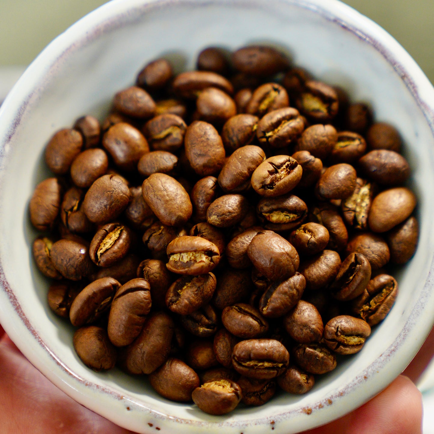 Jamaica Blue Mountain PB – Rare Selection