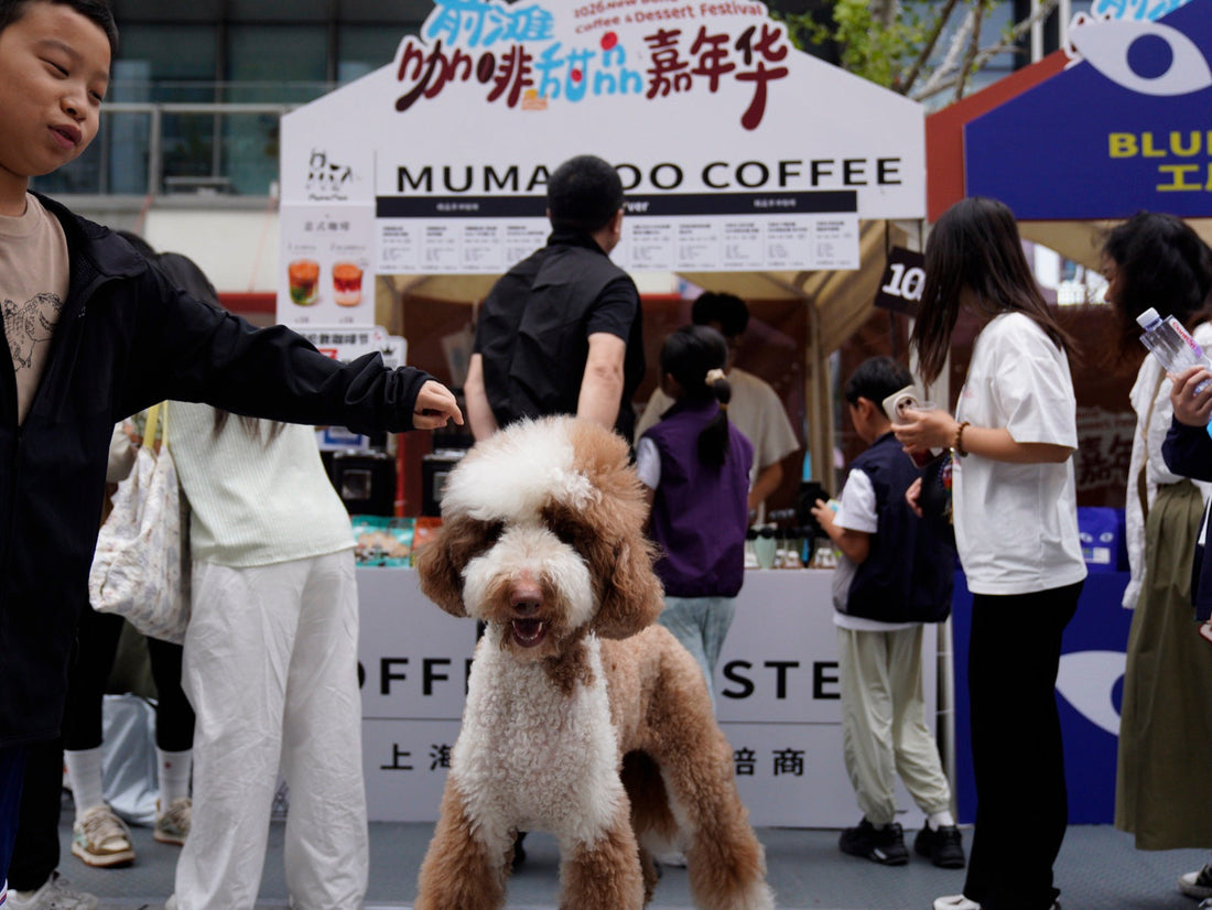 MUMAMOO at the Qiantan Coffee & Dessert Carnival - Three Days on Qianjiatan Road