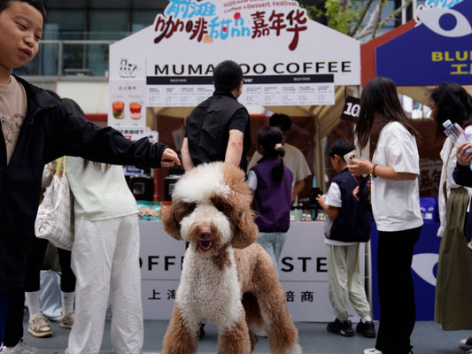 MUMAMOO at the Qiantan Coffee & Dessert Carnival - Three Days on Qianjiatan Road