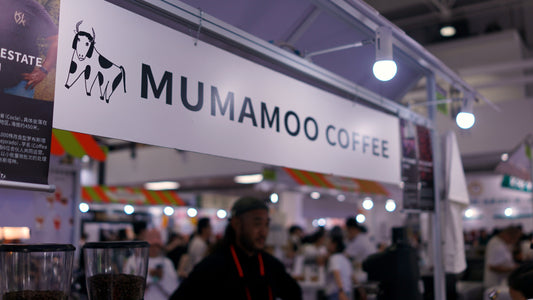 MUMAMOO at CafeShow China – Three Days of Coffee at Booth 4508