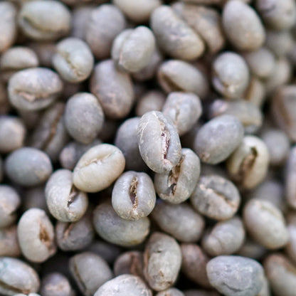 Jamaica Blue Mountain PB – Rare Selection